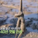 사강시장 이미지