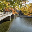 오대산 산채정식 이미지