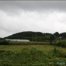 상대리 Daum카페