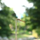 초간정화장실 이미지