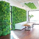 스테이솔 이미지