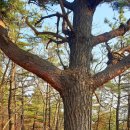 매봉2리경로당 이미지