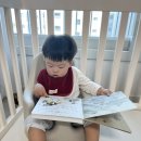 음악이 있는 명화이야기 | 책육아, 돌 전후 아기 책 후기, 추천: 베이비올 명화음악, 수과학