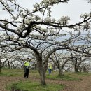 화접중학교 이미지