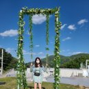 오버더마운틴 이미지