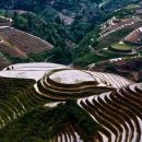 따자!!PC 이미지