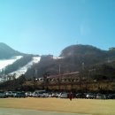 성우행정사 사무소 이미지