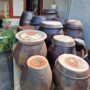 내미농박 이미지