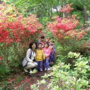 추곡초병설유치원 이미지