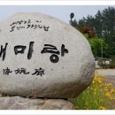 진도 해미랑 네이버블로그
