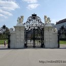 금낭화로26길 이미지