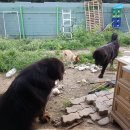 일루와농장 이미지