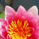 연담공원 이미지