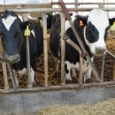 장원축산 이미지