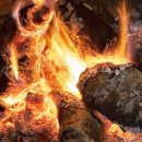 모닥불가든 이미지