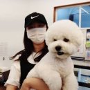 어나더 스위티 이미지