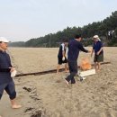 신지마을회관 | 힐링과 치유의 완도 울모래마을(신지 명사십리를 품은) 살아보기 6~7.5주