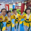 숲 태권도장 네이버블로그
