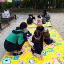 양청초등학교 이미지