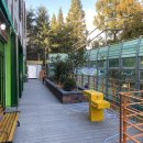 포항명도학교 이미지