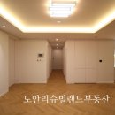 도안리슈빌 이미지