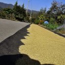 회인농장 이미지