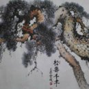 &#39;젊음의 묘약&#39; 소나무 껍질 효능 이미지