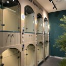 노은유치원 이미지