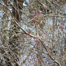 상현농장 이미지