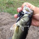 광신대교 이미지