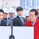 박정희로-2 이미지