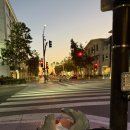 윙바이크 | La여행 매트로 바이크타고 산타모니카 🏖️ • 시애틀 경유 인천도착 아시아나 후기 ! 여행 끝 ••• 🖤