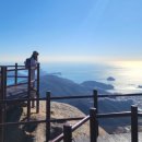 지선상사