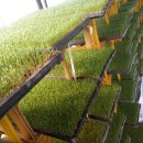 태천농장 이미지