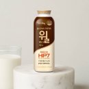 에치와이 동안점 | 헬리코박터 프로젝트 윌 미니 80ml, 15개 : 에치와이 솔직 후기
