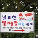 칠곡농장 티스토리