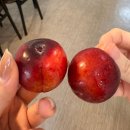 또또백반 이미지