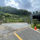 [정관 카페] 주차 걱정 NO! 반려동물 YES! 숲세권 제전농원카페 솔직 후기! 🏞️