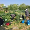 산울림 농장 이미지