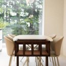 펫클라우드 이미지