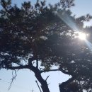 소룡농장 이미지