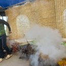 오병이어농장 이미지