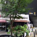 뷰티스마일치과의원 이미지