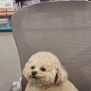 GS25 대의아카데미 이미지