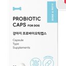 본아페티 네이버블로그