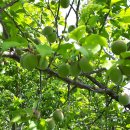 관포경로당 이미지