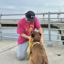 전진농장4 이미지