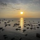 하나카 | 푸꾸옥 혼똔섬 케이블카 탑승 후기 (최저가 &amp; 할인 예약 방법 공유)