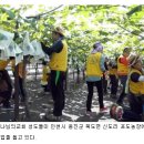 김주철농장 이미지