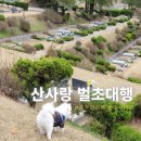 주식회사 보은산림조경 | [공지] 부모님께 예를 갖춰주신 충주벌초대행 묘지관리 전문 산사랑의 감동적인 작업후기